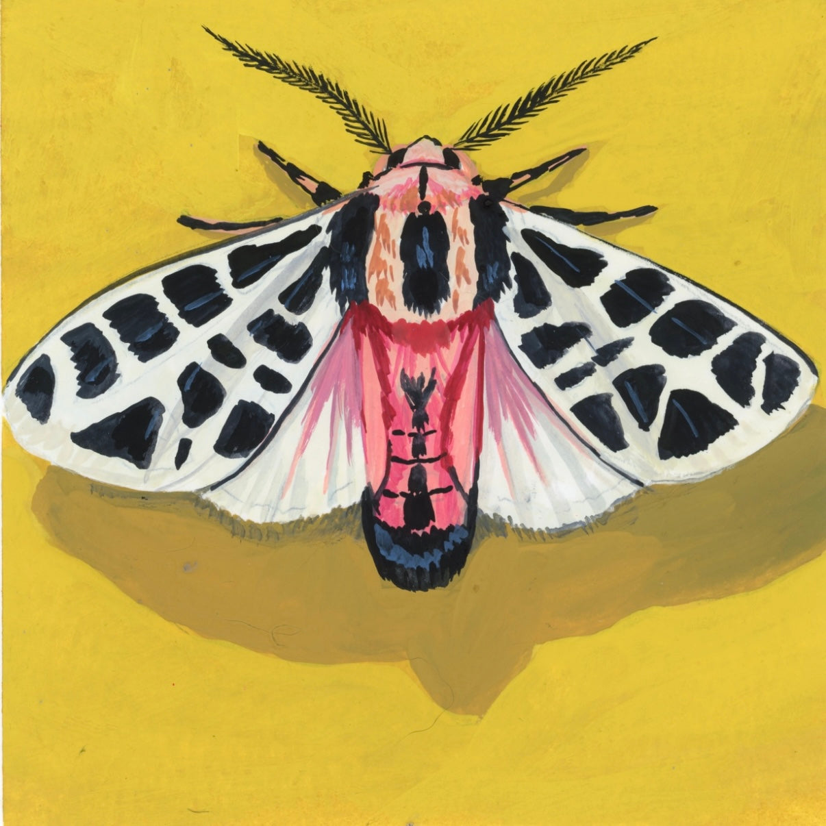 Velvet Wings 3