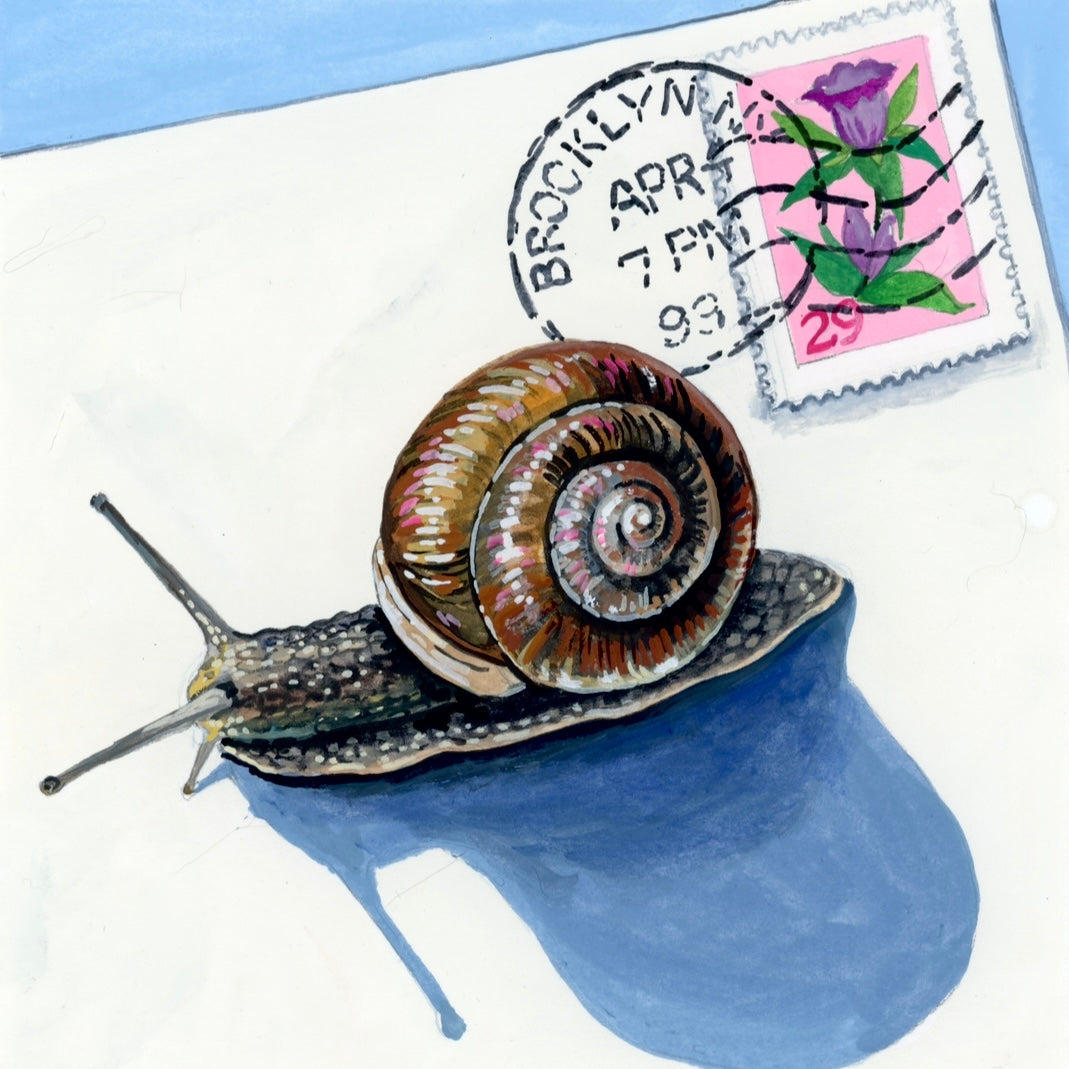Snail Mail