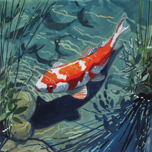 In the Shallows