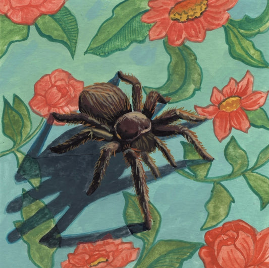 Arachnophilia
