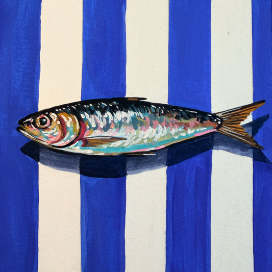 Blue Striped Sardine