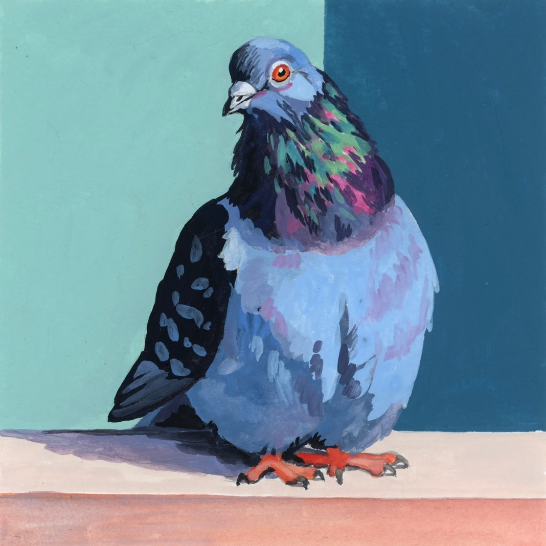Mr. Pidge