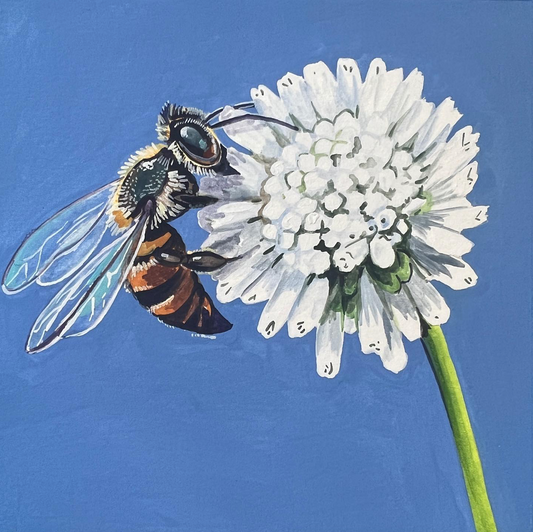 Bee Original Painting