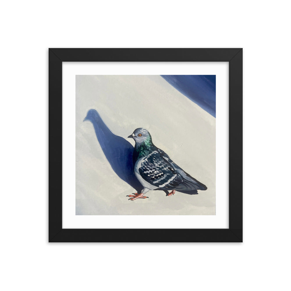 Pigeon Promenade Framed Print