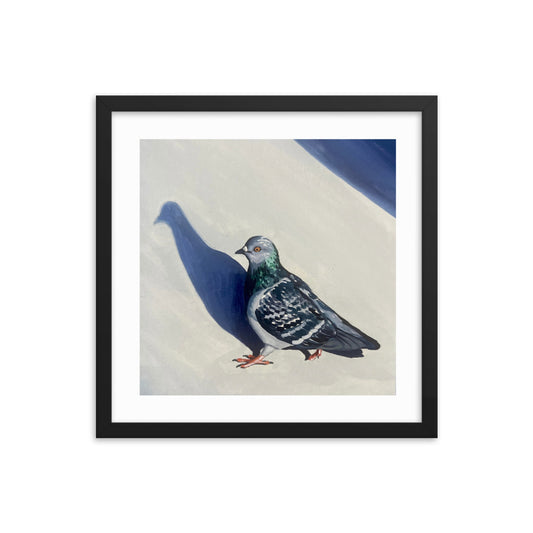 Pigeon Promenade Framed Print