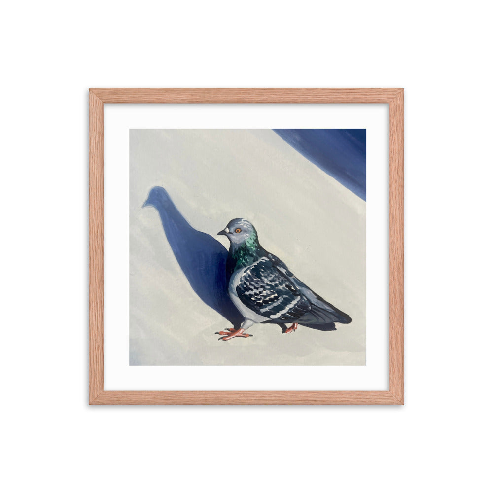 Pigeon Promenade Framed Print