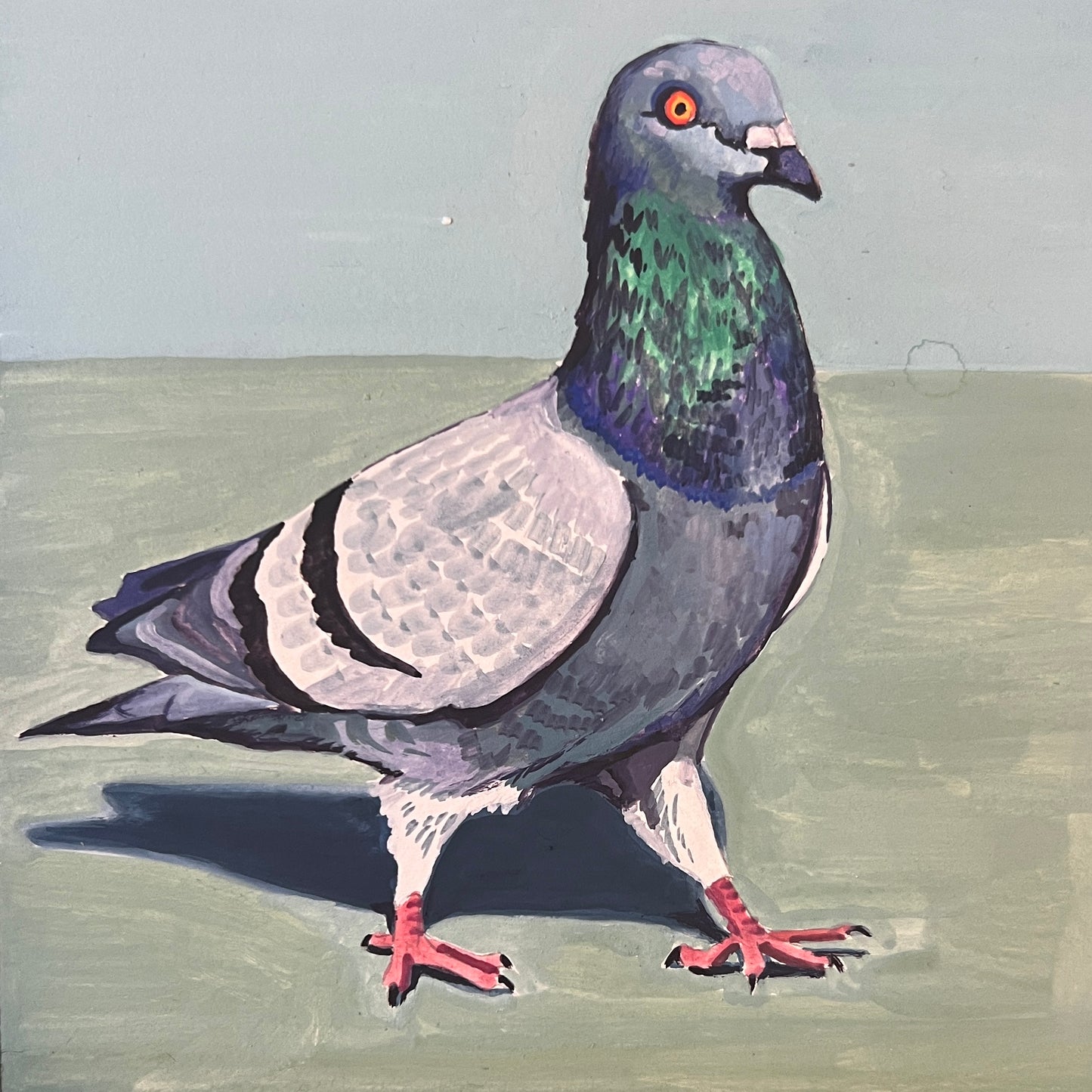 Pigeon Strut